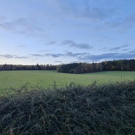 Finska Roubenka Pro Hosty * Pleteny Ujezd