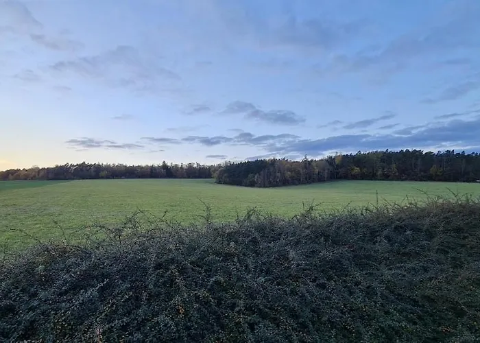 Finska Roubenka Pro Hosty * Pleteny Ujezd